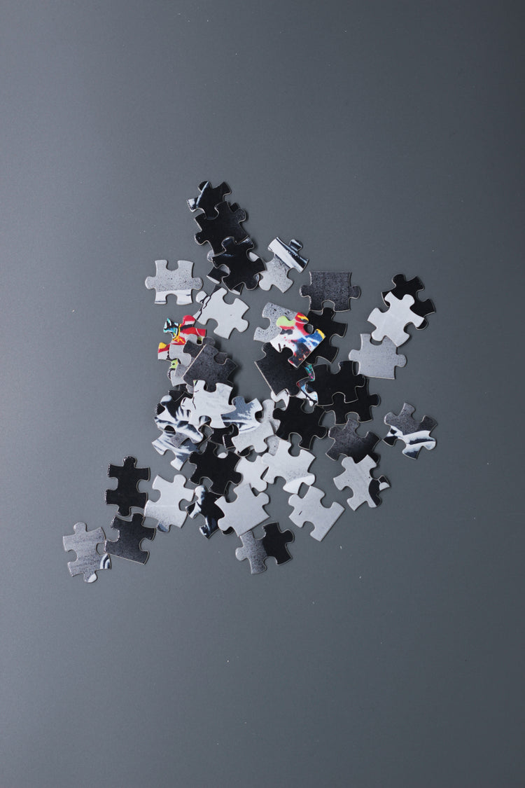 Heading Home Puzzle