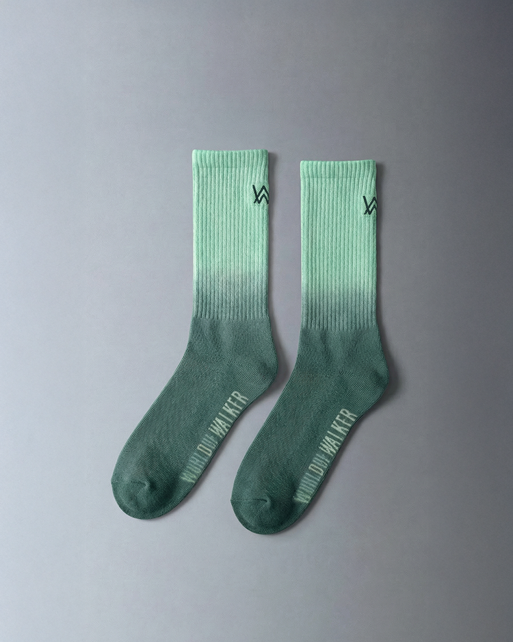 World of Walker Logo Gradient Socks