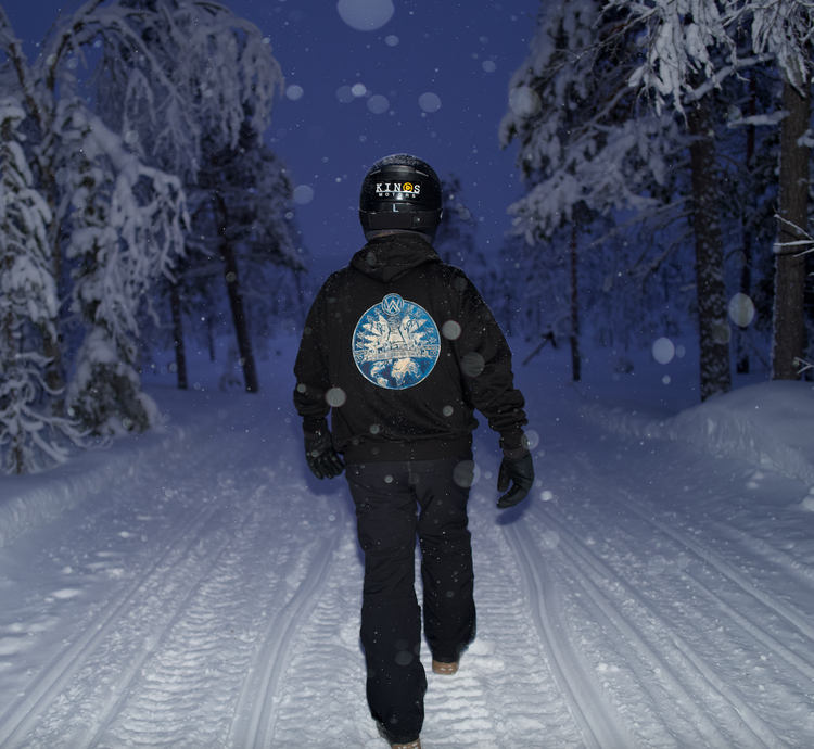 Prophecy Disc VIII Hoodie